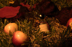 What Happens In The Orchard