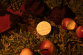 What Happens In The Orchard